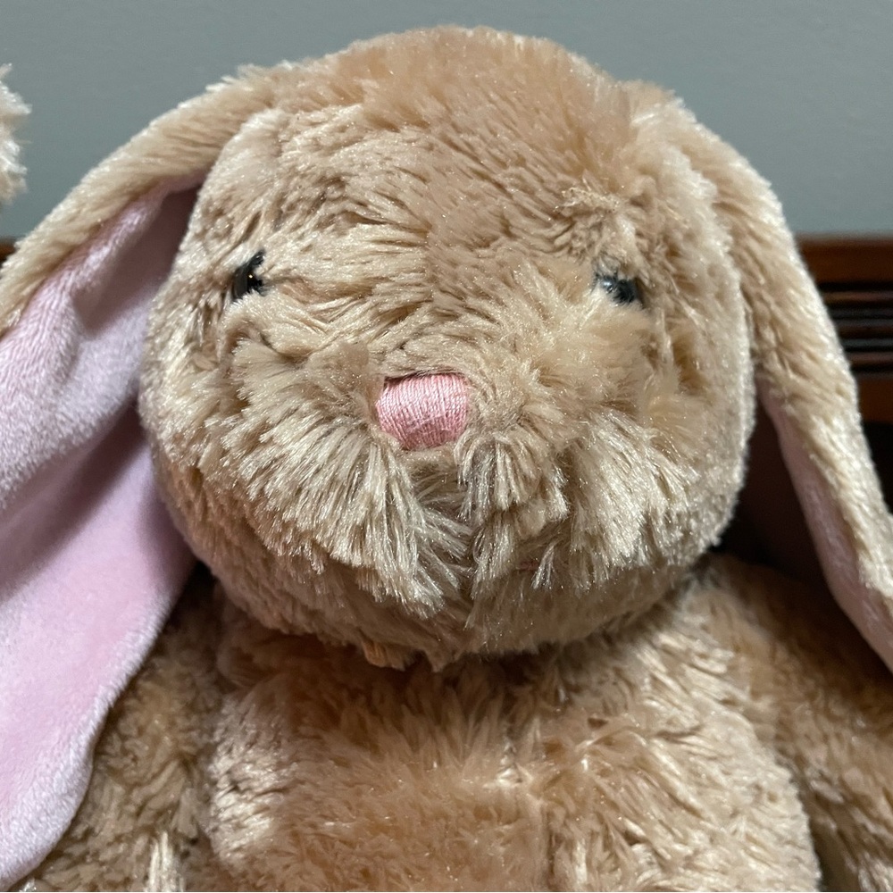 Build-A-Bear rabbit and bear set. - Picture 3 of 13